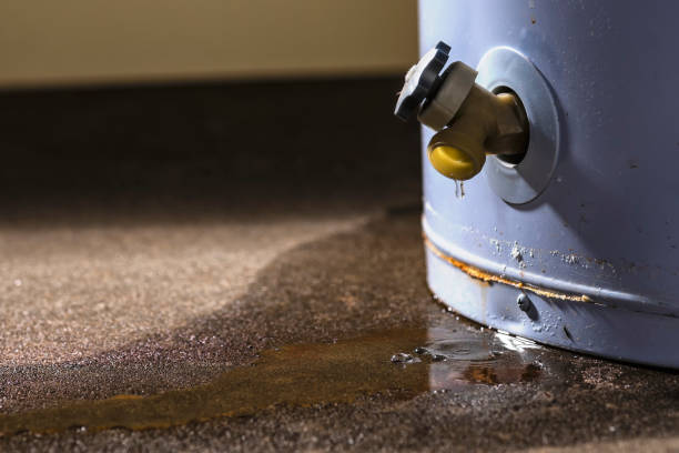 Best Water damage contractors near me  in Gilroy, CA