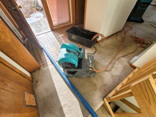 Best Ceiling water damage repair  in Gilroy, CA