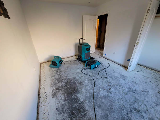 Best Water damage restoration near me  in Gilroy, CA