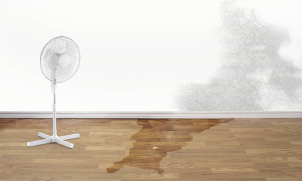 Best Flood restoration services  in Gilroy, CA