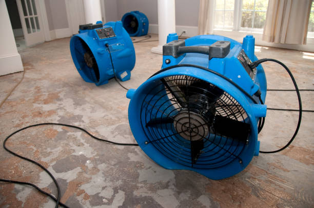 Best Water damage cleanup near me  in Gilroy, CA