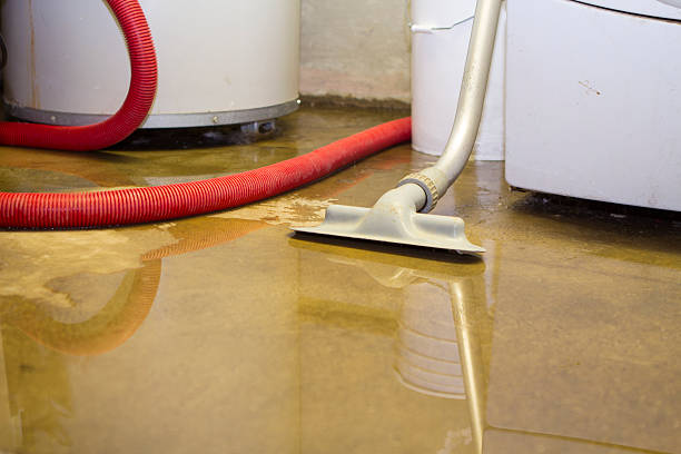 Best Mold removal after water damage  in Gilroy, CA
