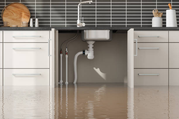 Best Carpet water damage restoration  in Gilroy, CA