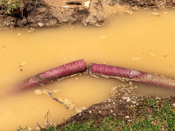  Gilroy, CA Water damage restoration Pros