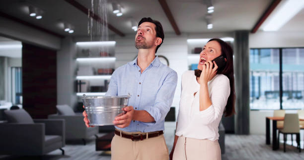 Best 24/7 water damage repair  in Gilroy, CA