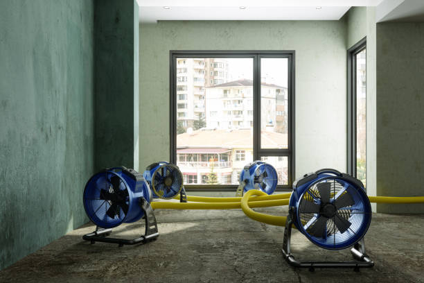 Best Commercial water damage restoration  in Gilroy, CA