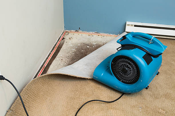 Best Local water damage restoration  in Gilroy, CA